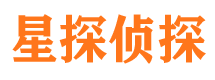 东宝寻人公司